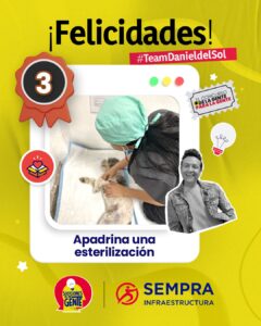 Apadrina una esterilización