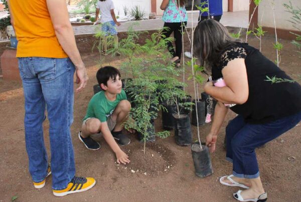 Proyecto Aula viva Yo’o Joara - Soluciones de mi Gente 4