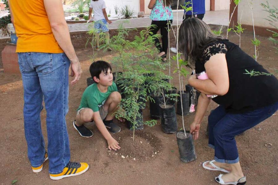 Proyecto Aula viva Yo’o Joara - Soluciones de mi Gente 4