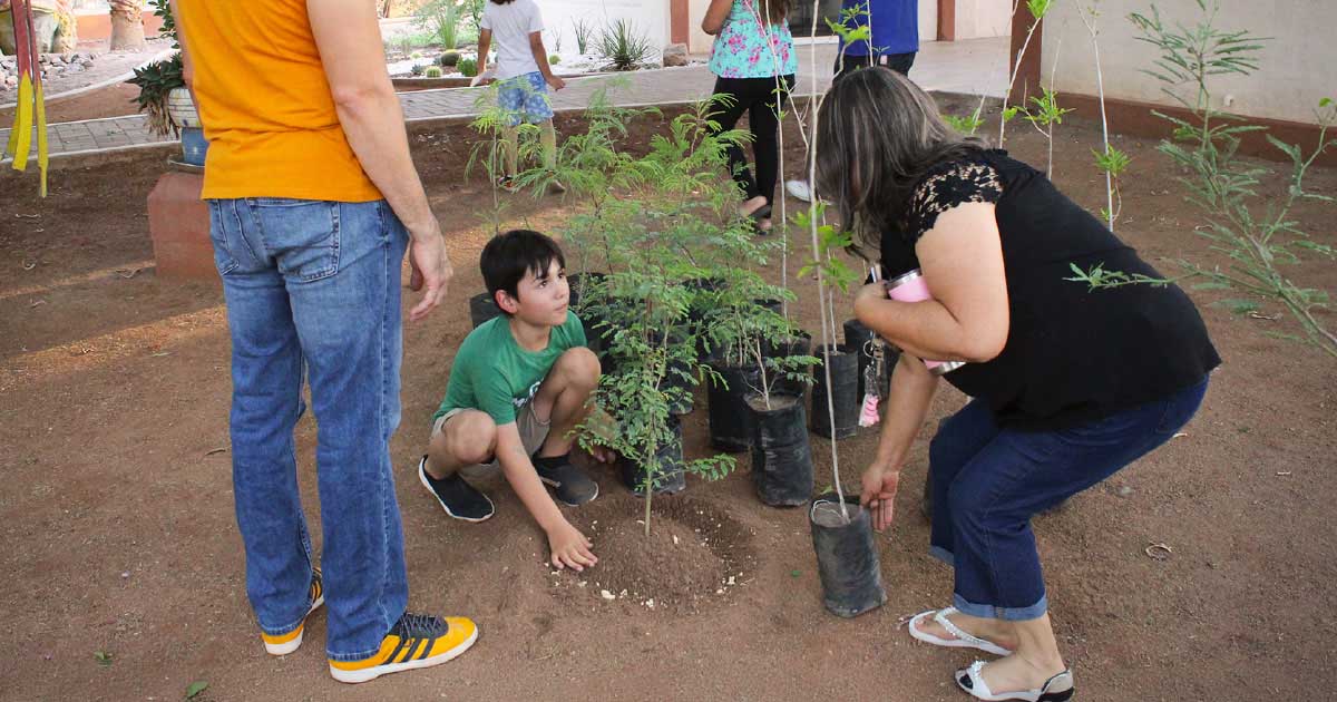 Proyecto Aula viva Yo’o Joara - Soluciones de mi Gente 4